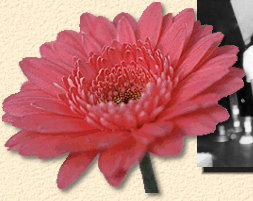 index022004.jpg